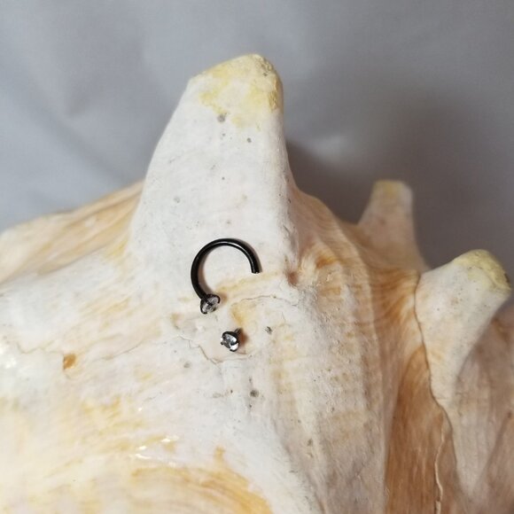 16G Black horseshoe plated stainless steel with clear CZ gems prong set NWT - Picture 6 of 6